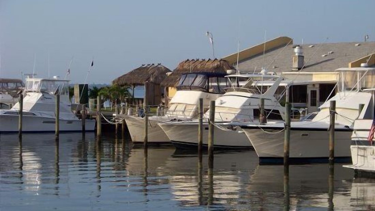 Photo of Others in Nettles Island