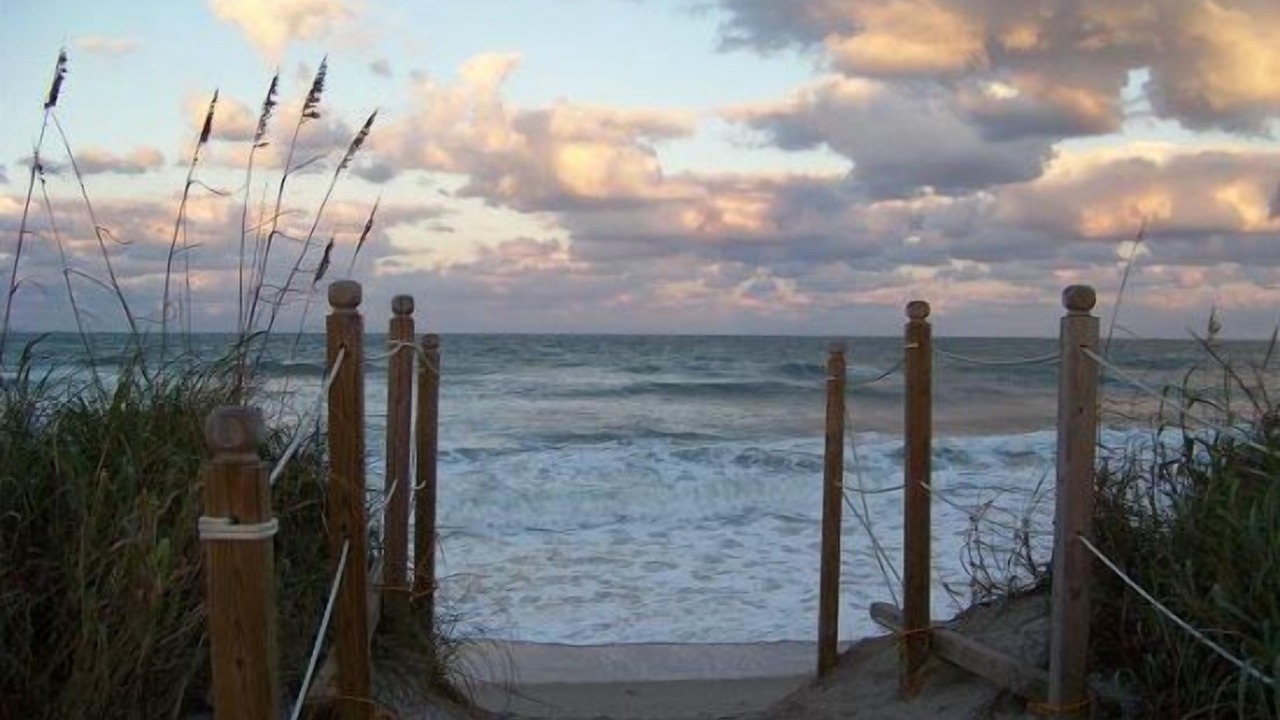 Photo of Others in Nettles Island