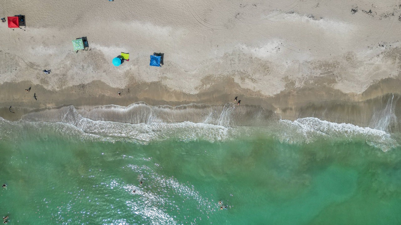 Photo of Others in Nettles Island