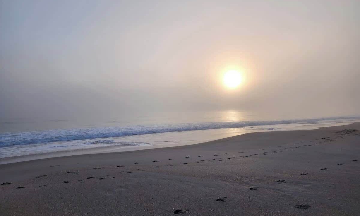 Photo of Others in Melbourne Beach