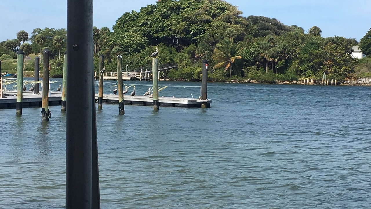 Photo of Others in Riverside