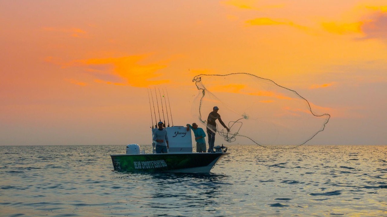 Photo of Others in Islamorada