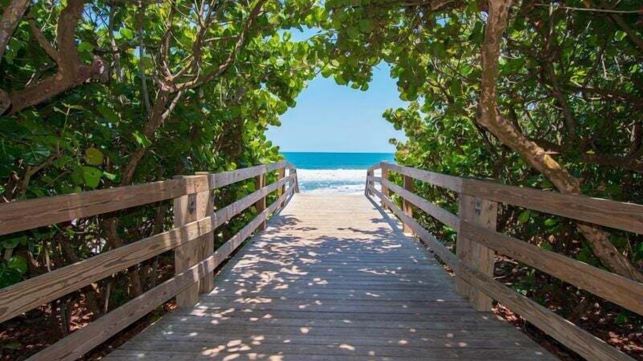 Photo of Others in Indian Harbour Beach