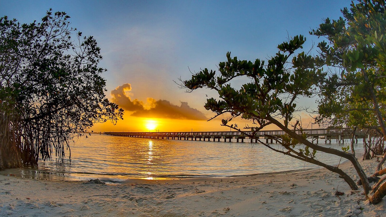 Photo of Others in Jensen Beach