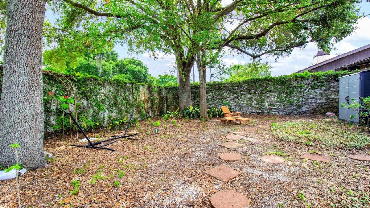 Photo of Outdoor in Carrollwood