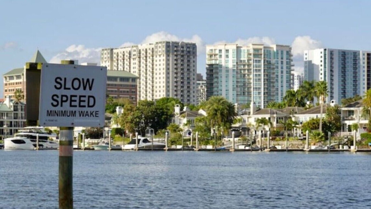 Photo of Others in Carrollwood