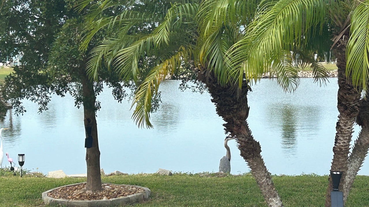 Photo of Others in Fort Myers Beach
