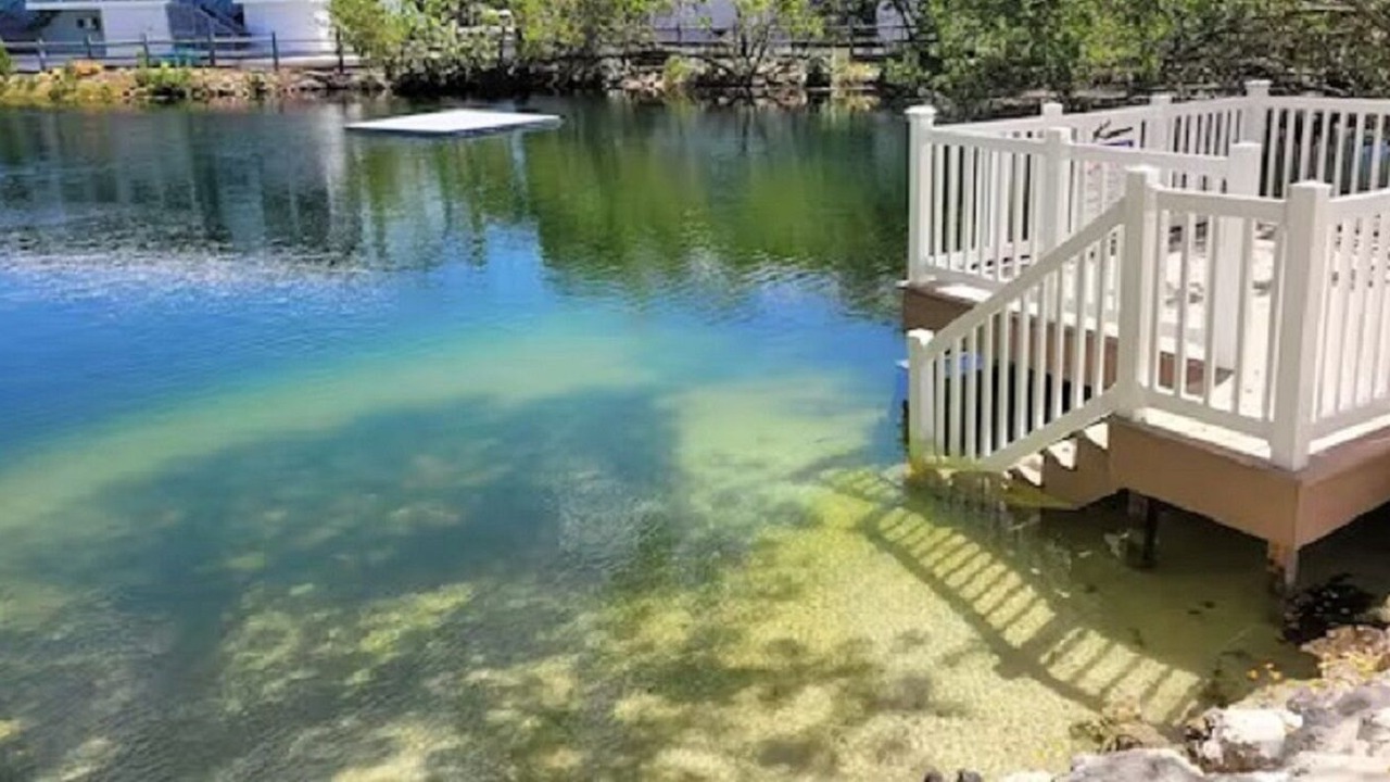 Photo of Others in Key Largo