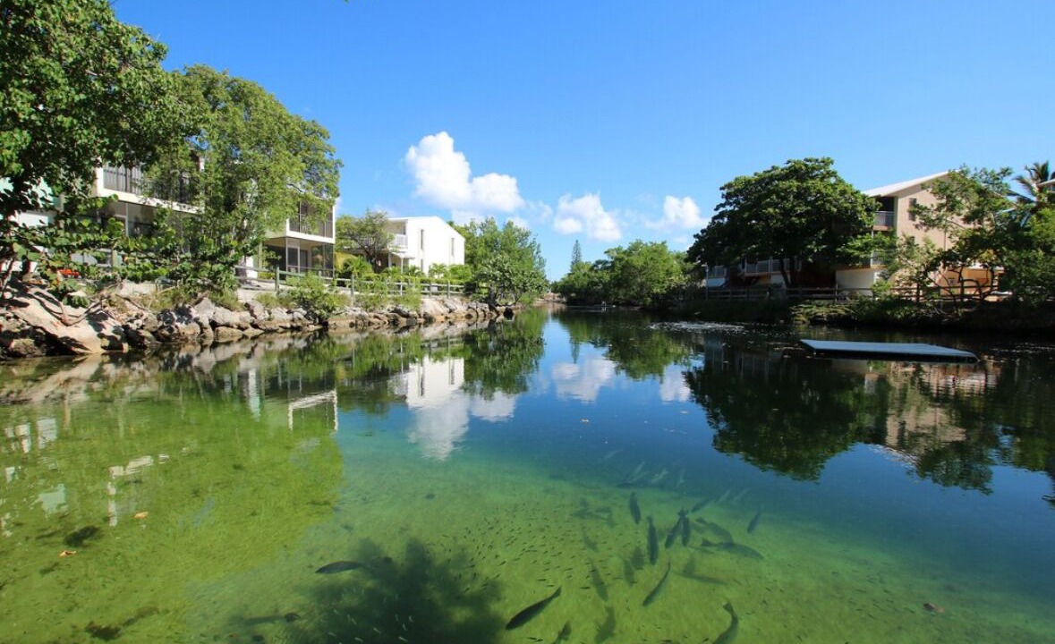 Photo of Others in Key Largo