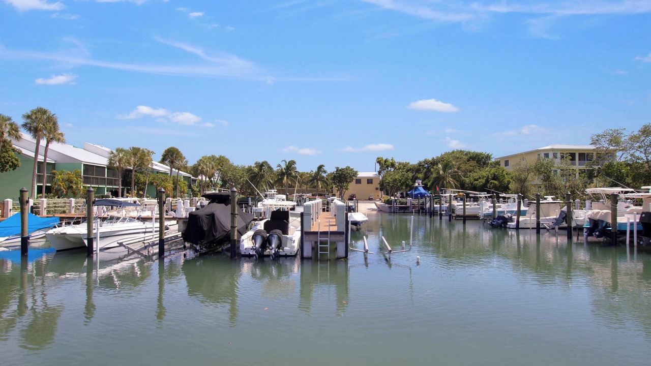Photo of Others in Rock Harbor