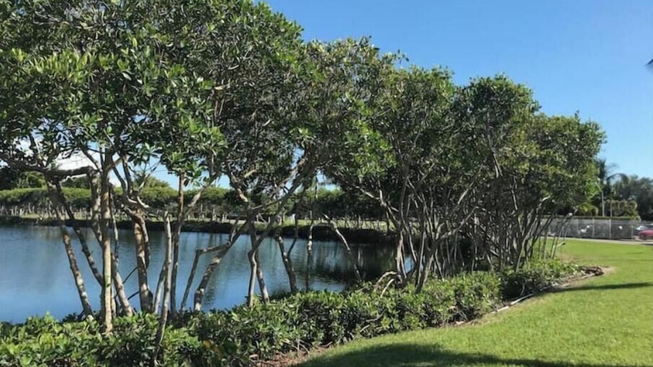 Photo of Outdoor in Fort Myers Beach