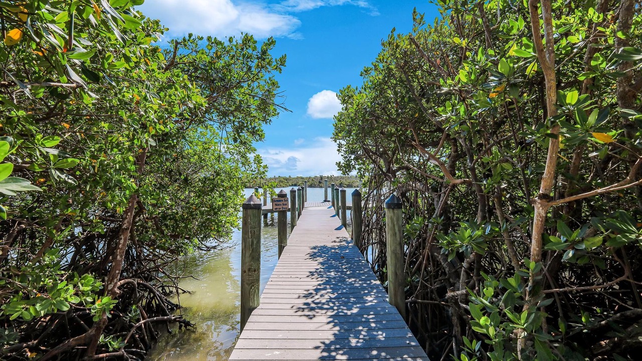 Photo of Outdoor in Captiva