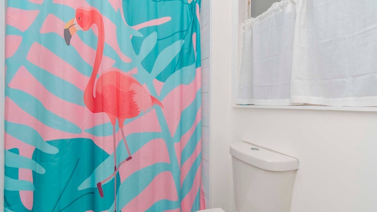 Photo of Bathroom in South Pinellas Community Council