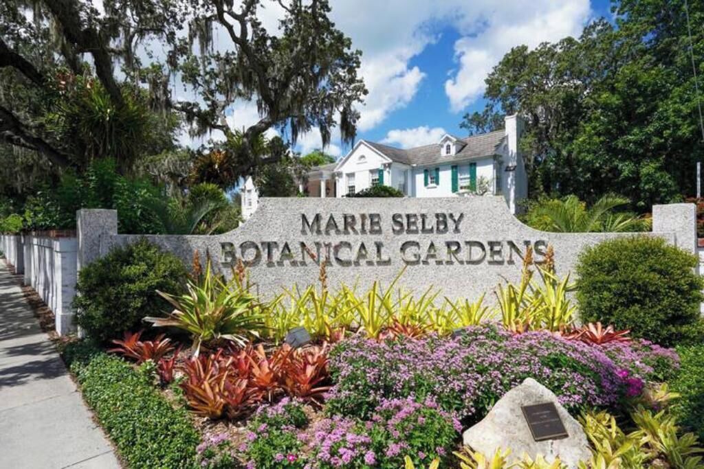 Photo of Outdoor in Sarasota