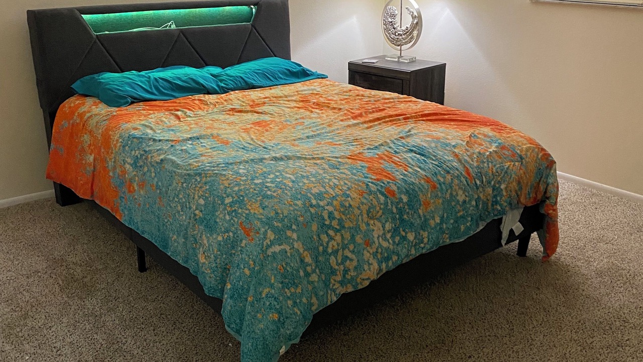 Photo of Bedroom in Oldsmar
