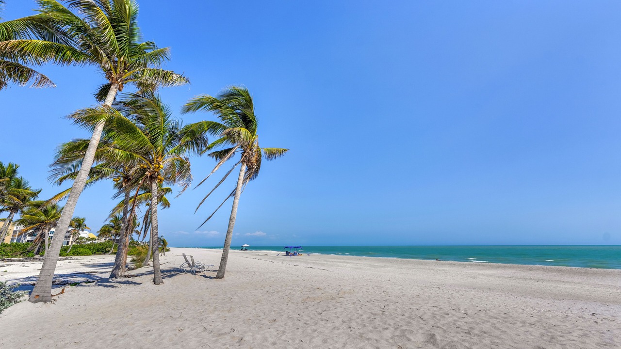 Photo of Others in Sanibel