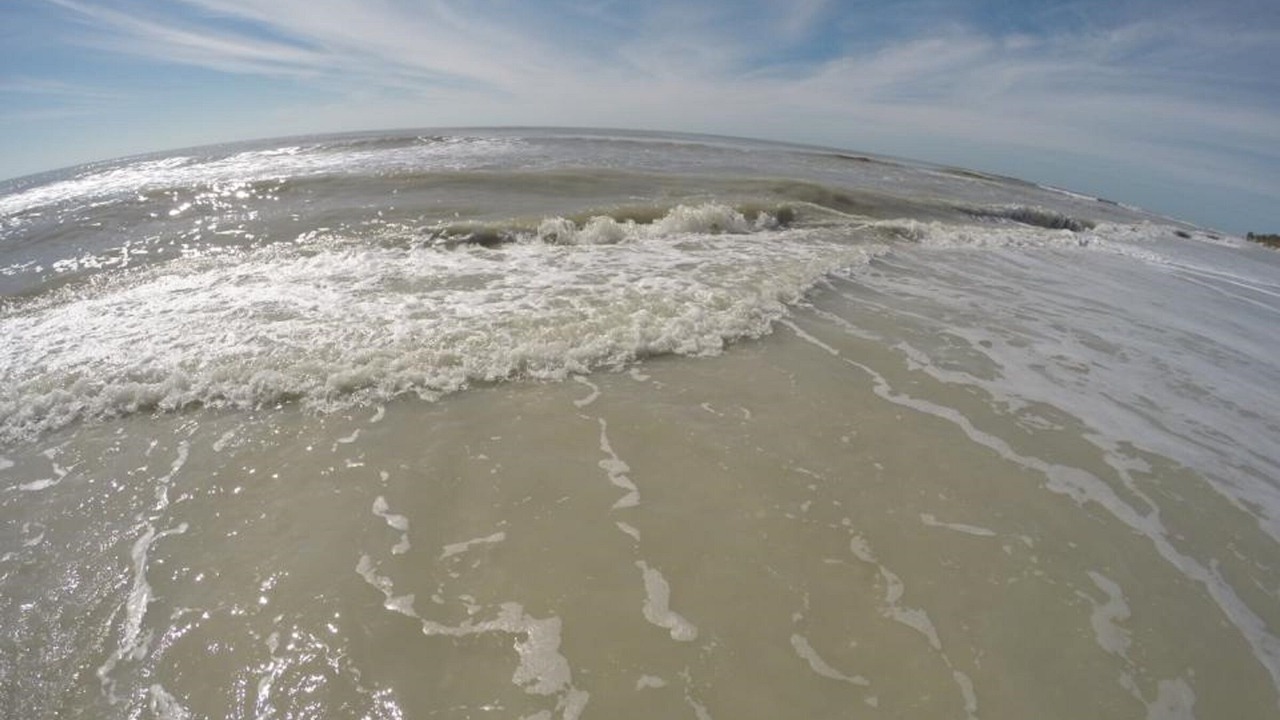 Photo of Others in Sanibel