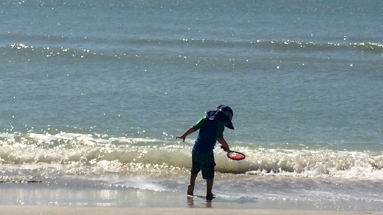 Photo of Others in Sanibel