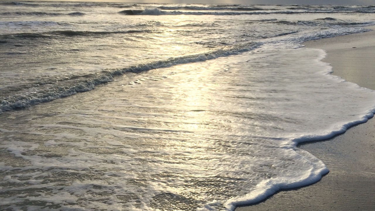 Photo of Others in Sanibel