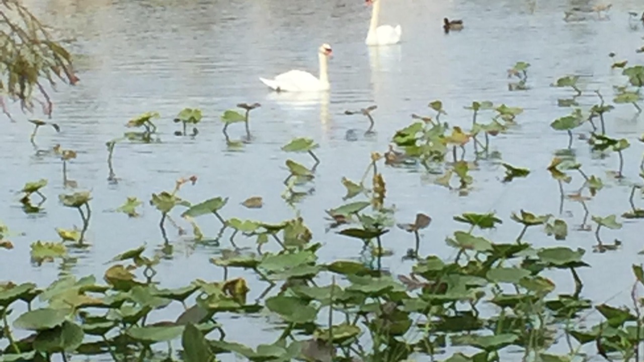 Photo of Outdoor in Lakeland