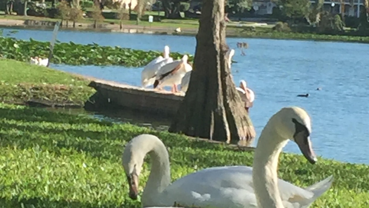 Photo of Outdoor in Lakeland
