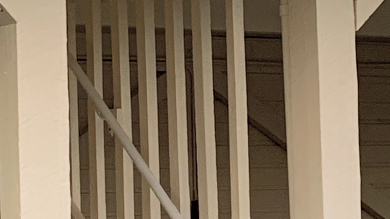 Photo of Others in Bradenton Beach