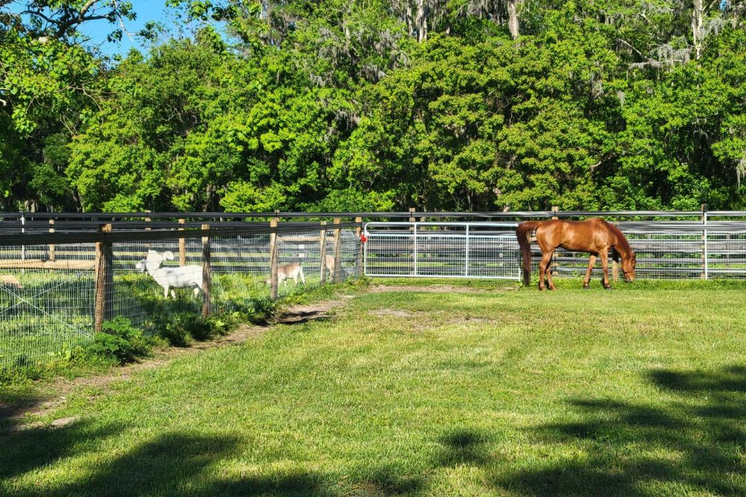 Photo of Others in Greater Northdale