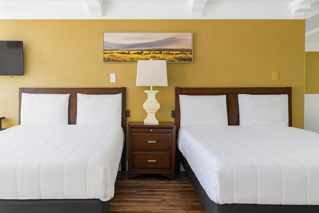Photo of Others in Naples