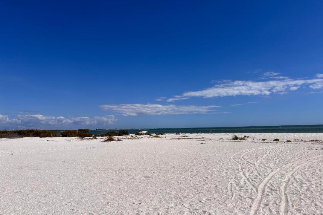 Photo of Others in Laguna Shores