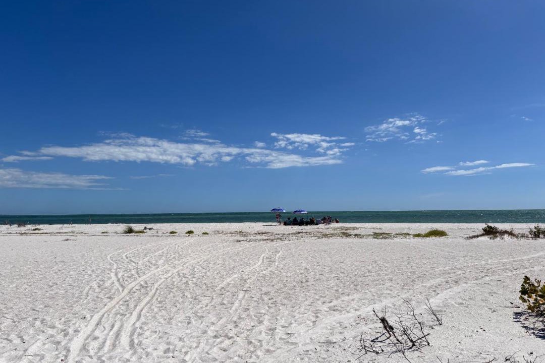 Photo of Others in Laguna Shores