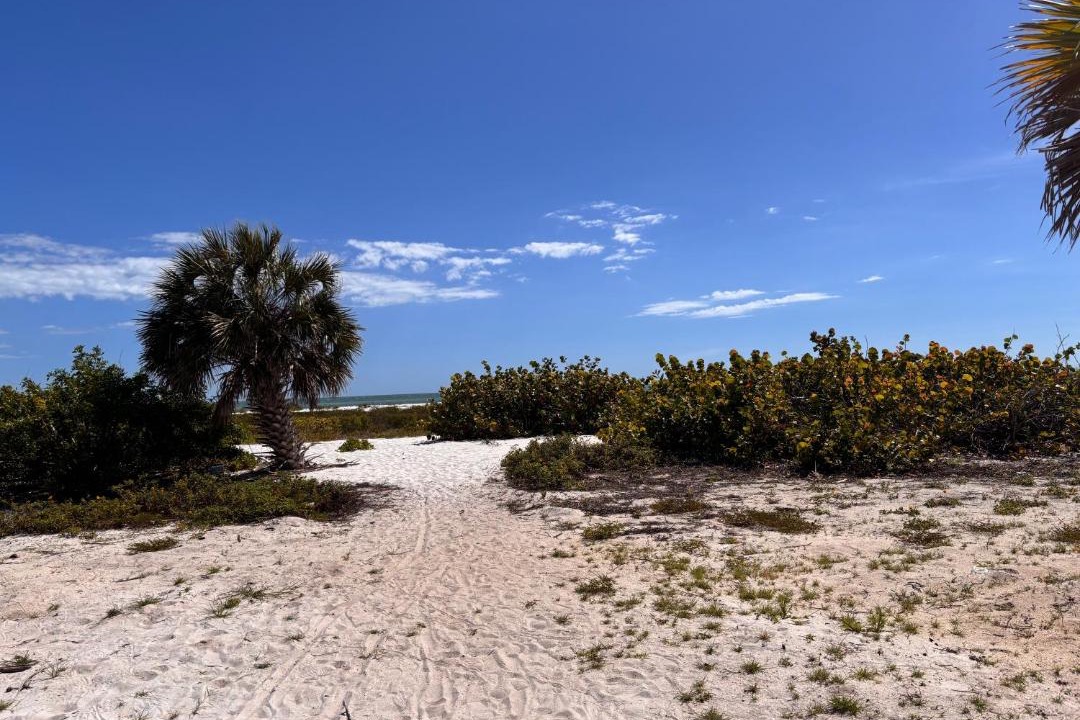 Photo of Others in Laguna Shores