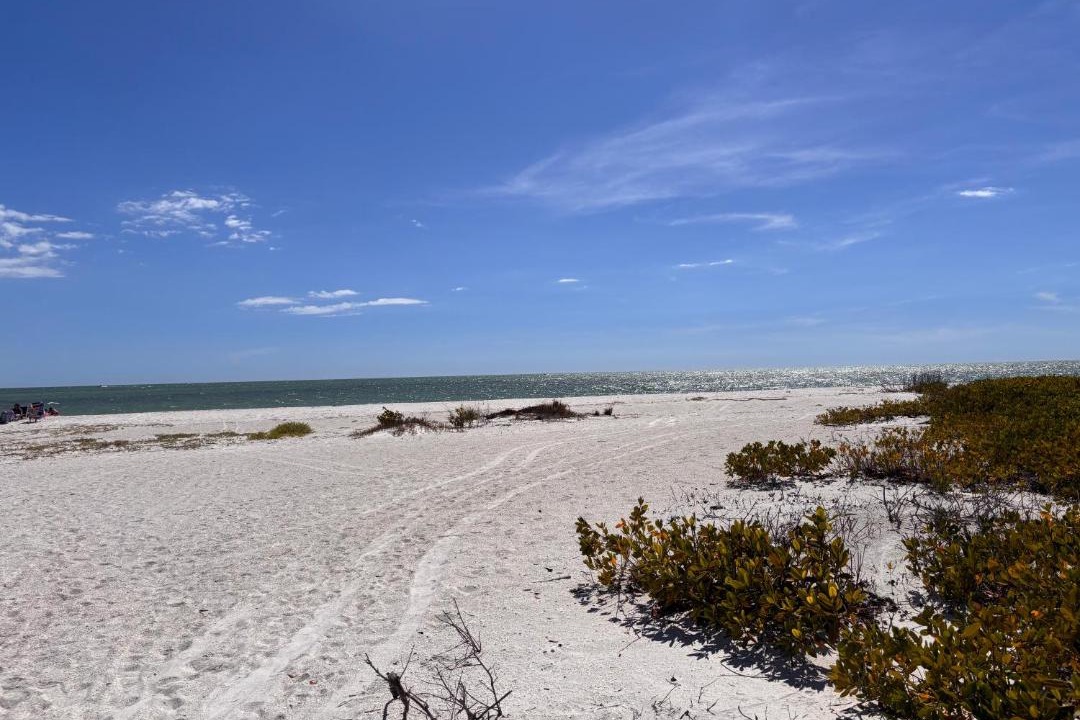 Photo of Others in Laguna Shores