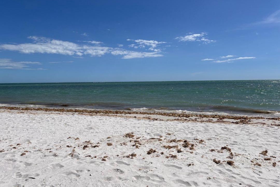 Photo of Others in Laguna Shores