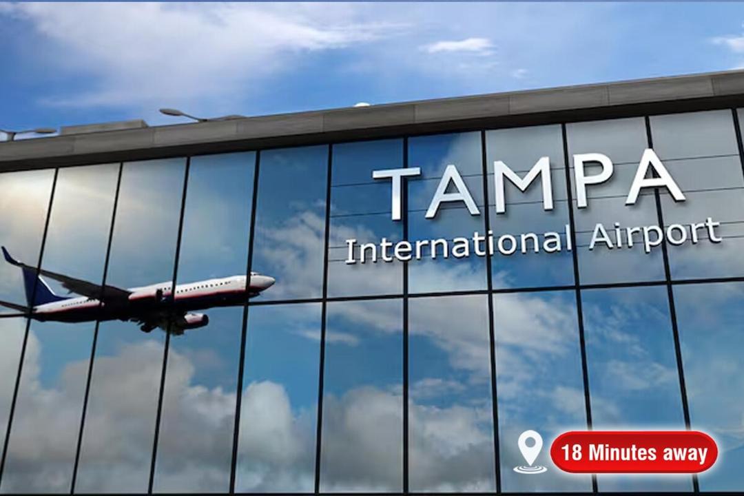 Photo of Others in Tampa
