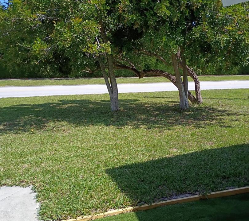 Photo of Others in Florida Ridge