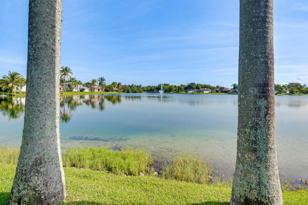 Photo of Others in Davie