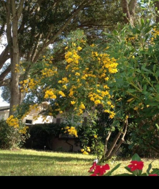 Photo of Others in Lake Alfred