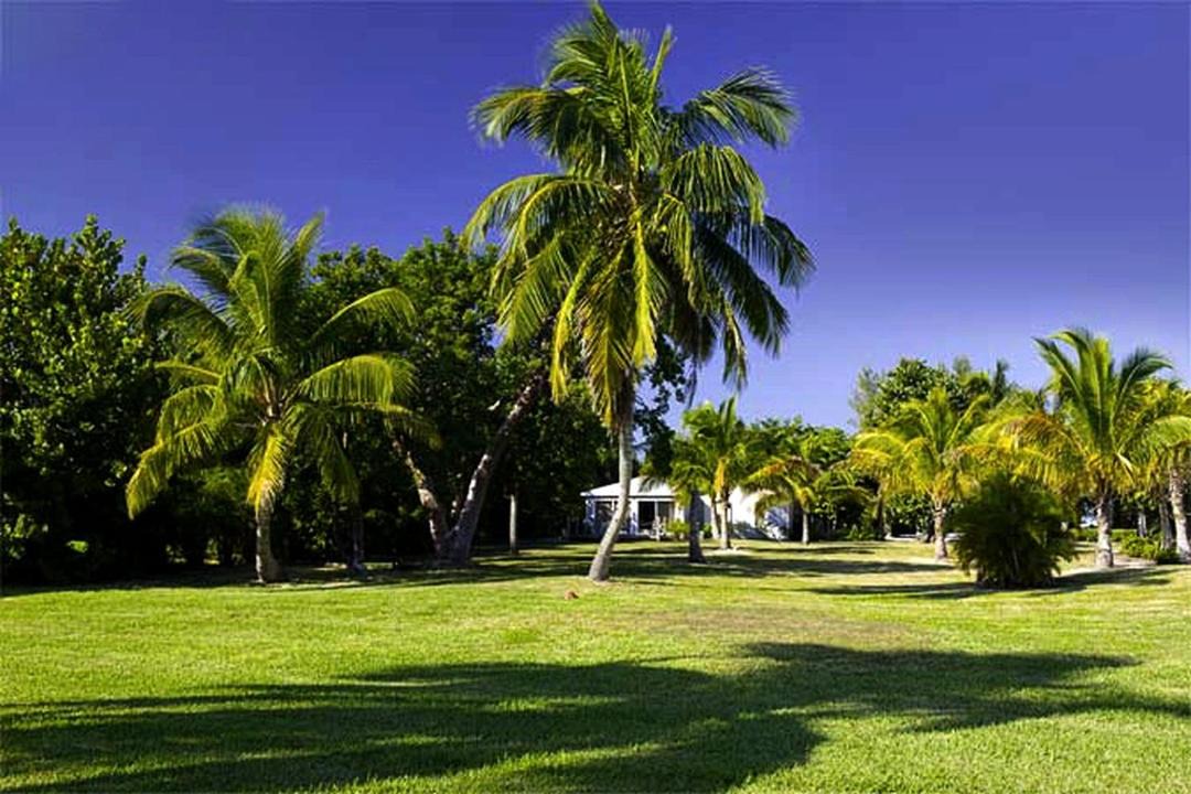 Photo of Others in Captiva