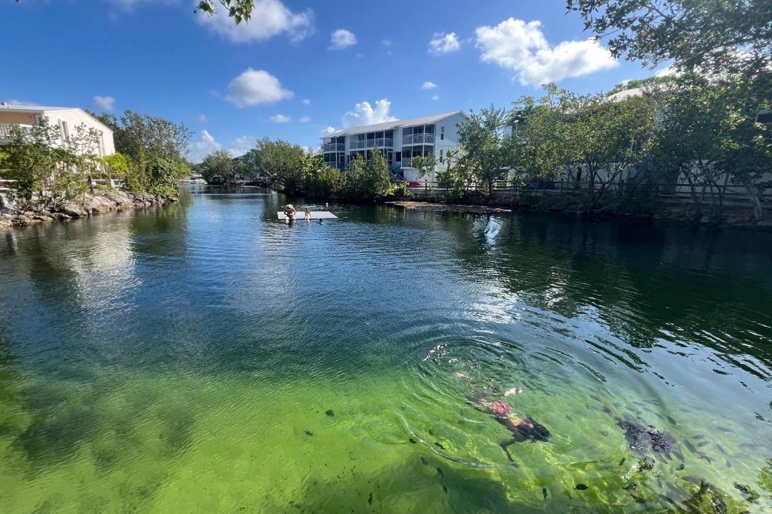 Photo of Others in Key Largo
