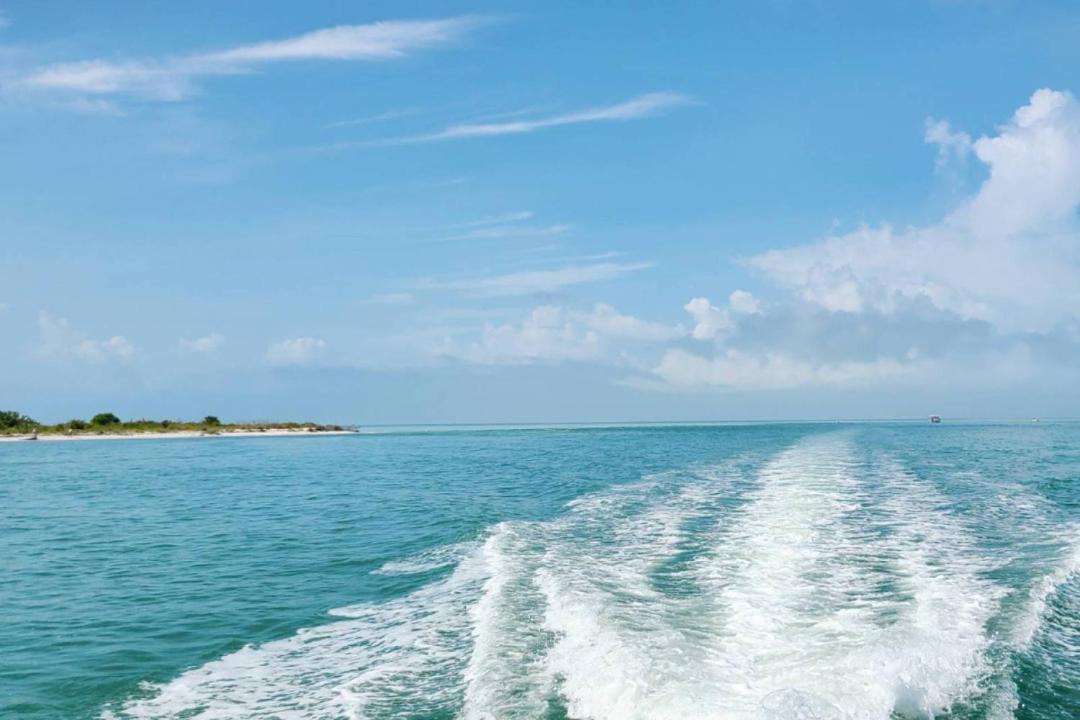 Photo of Others in Fort Myers Beach