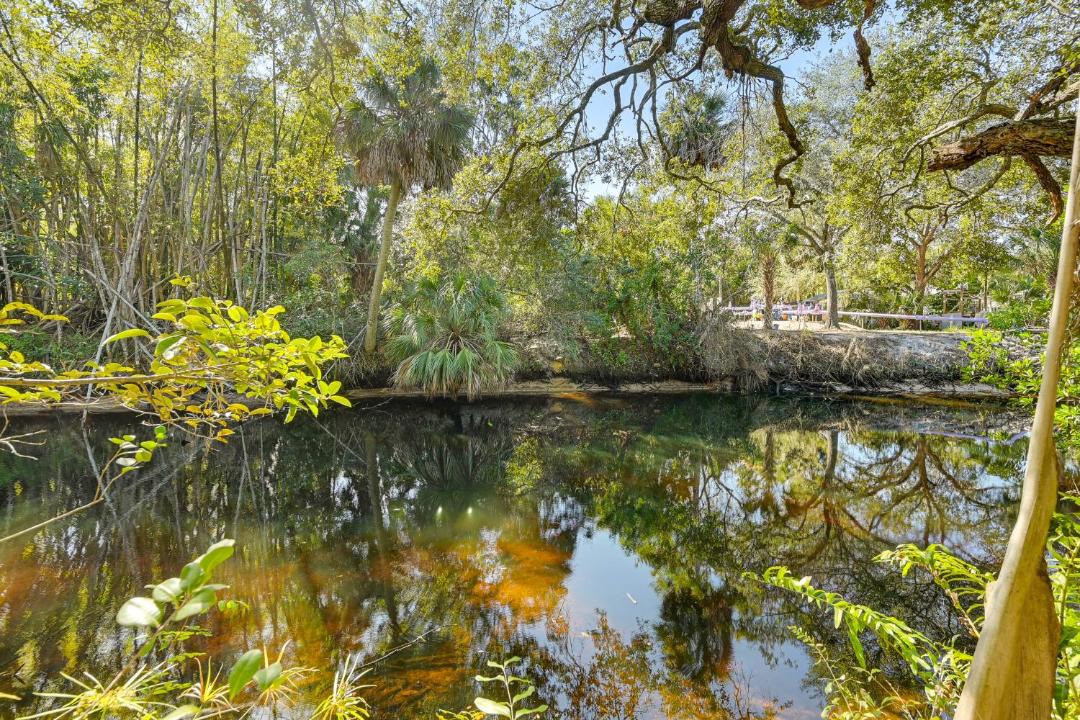 Photo of Others in Bonita Springs