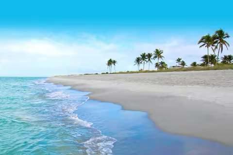 Photo of Others in Mid Island