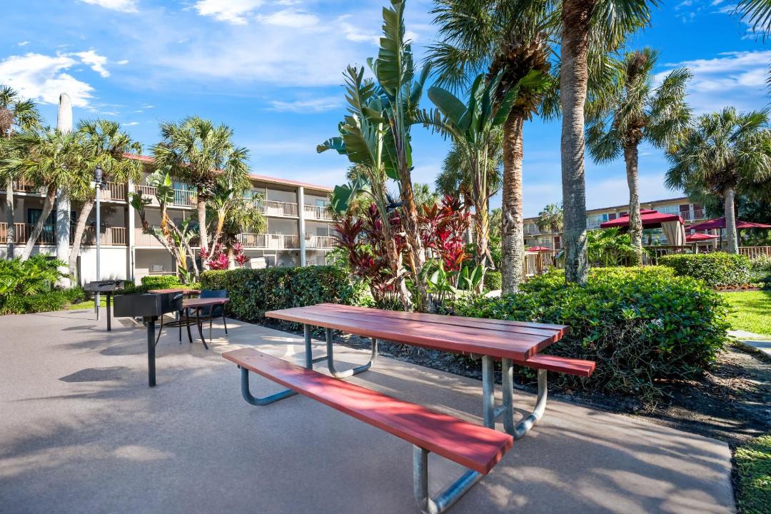 Photo of Others in East Naples