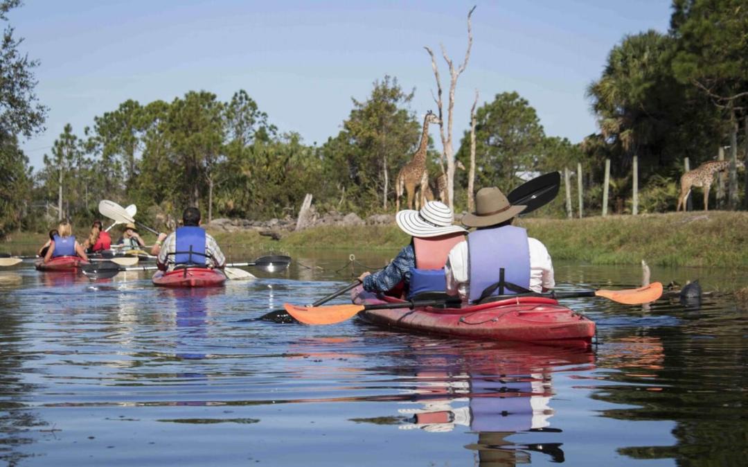 Photo of Others in South Patrick Shores