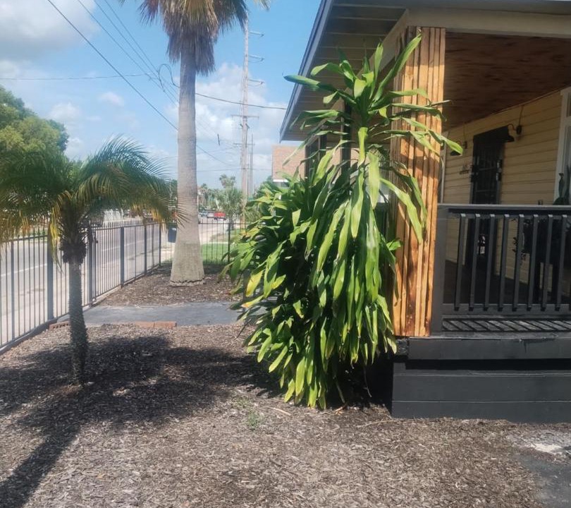 Photo of Others in Tampa Heights