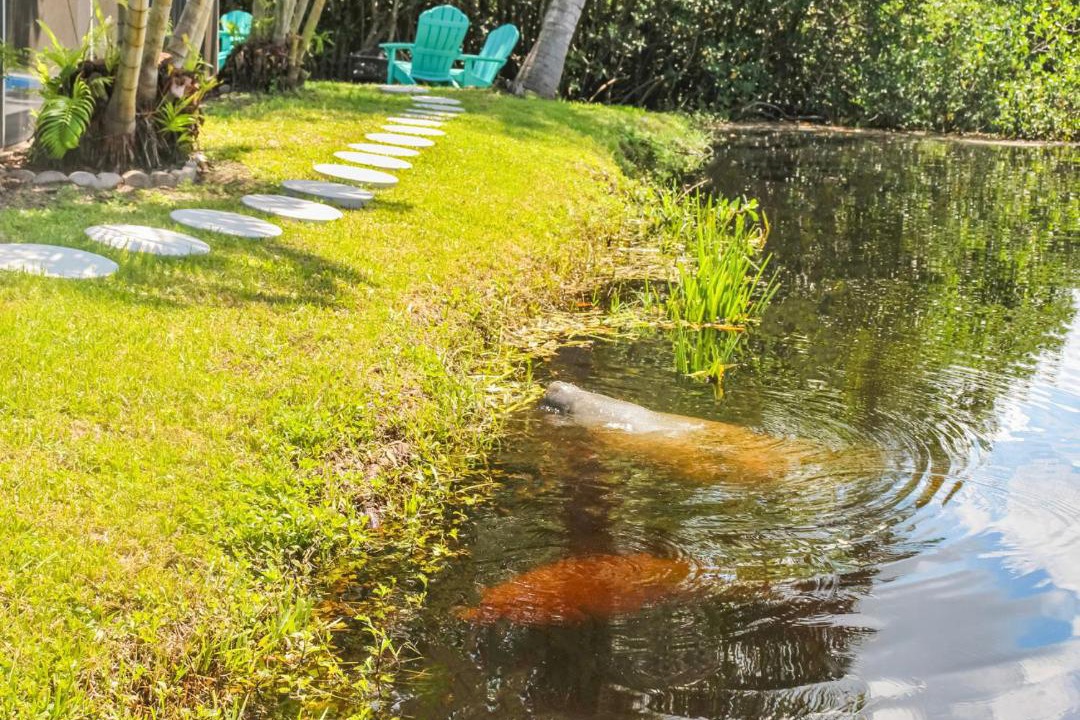 Photo of Others in Fort Myers
