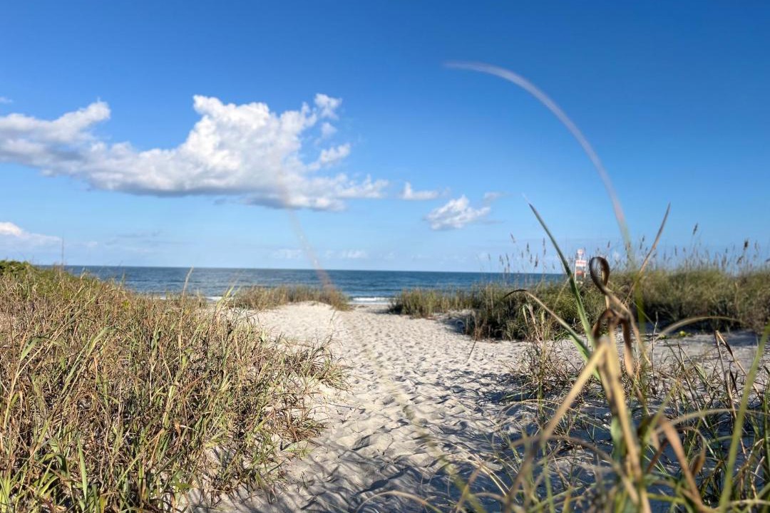 Photo of Others in Crescent Beach