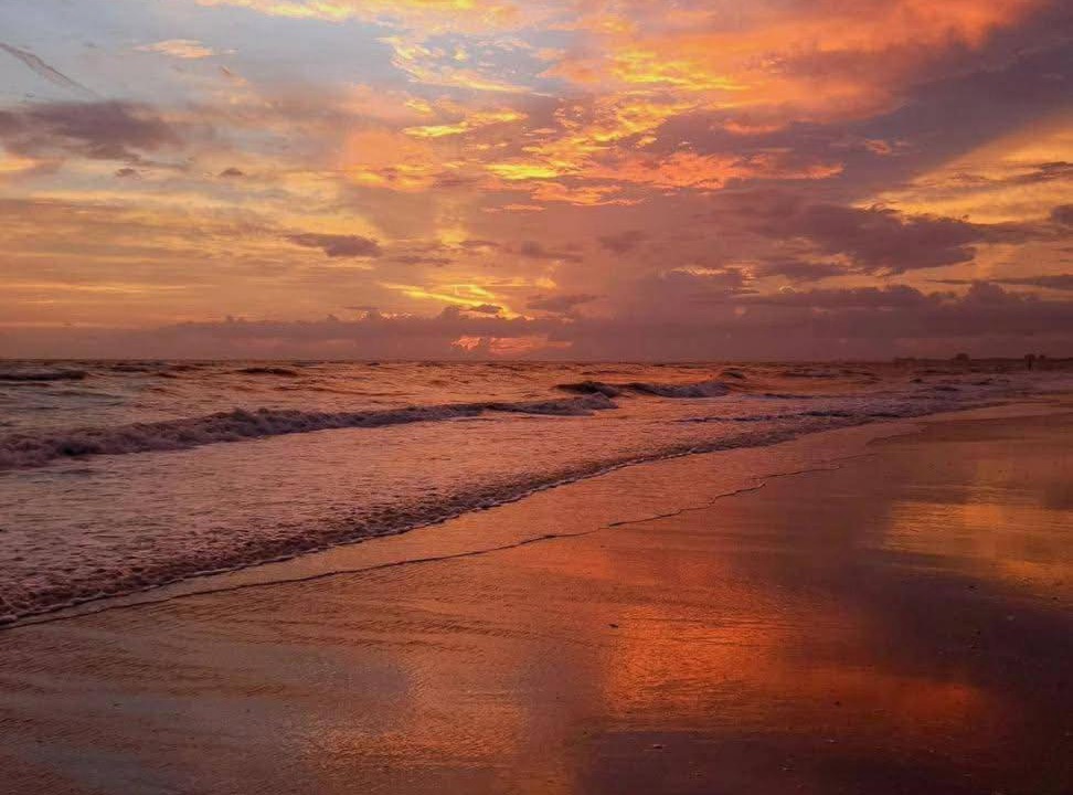 Photo of Others in Fort Myers Beach