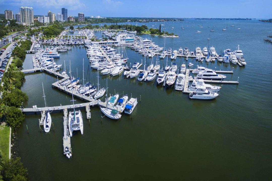 Photo of Others in Sarasota