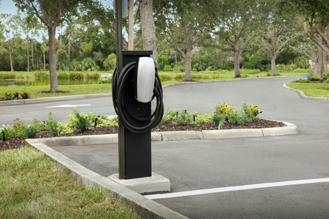 Photo of Others in Braden River